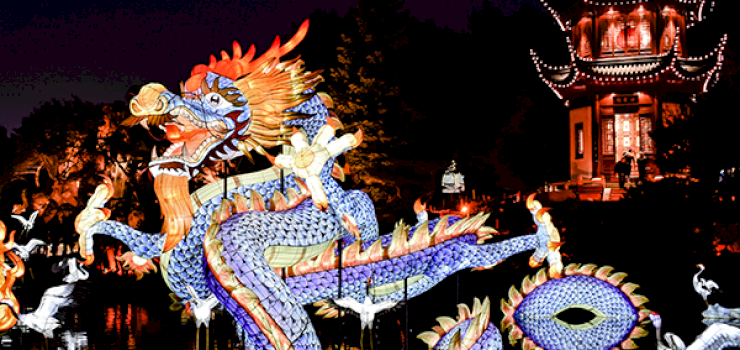 Host Your Own Chinese New Year Party