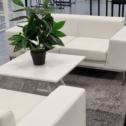 White Lay Sofas