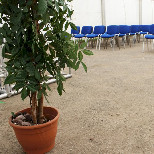 Religious Event