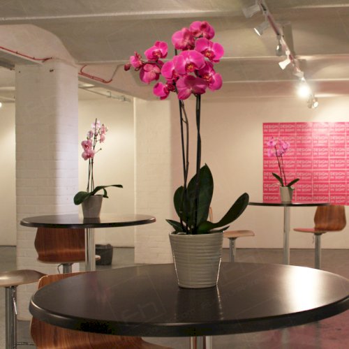 London Art Event