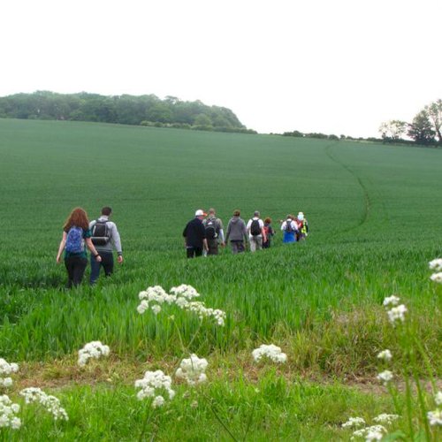 Pilgrimage 2010