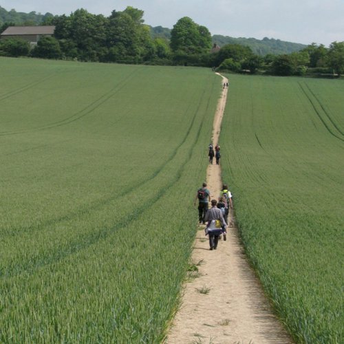 Pilgrimage 2011