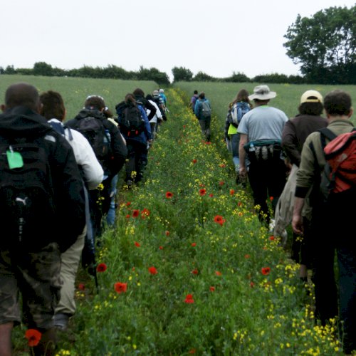 Pilgrimage 2012