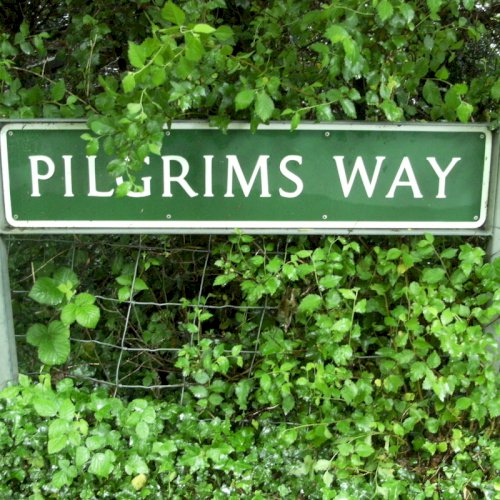 Pilgrimage 2012