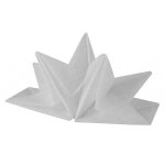 White Napkin