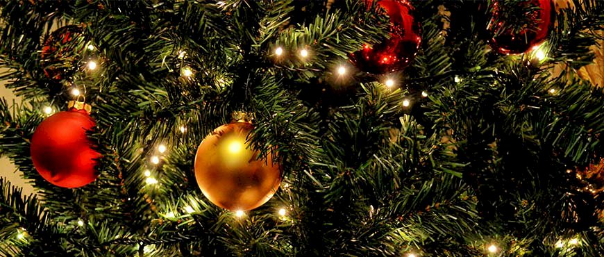 Christmas 2021 Trends